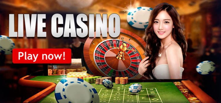 several live gambling establishments offered